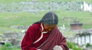 Лхаса апсо, священная собака тибетских монахов