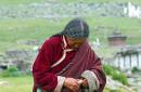 Лхаса апсо, священная собака тибетских монахов